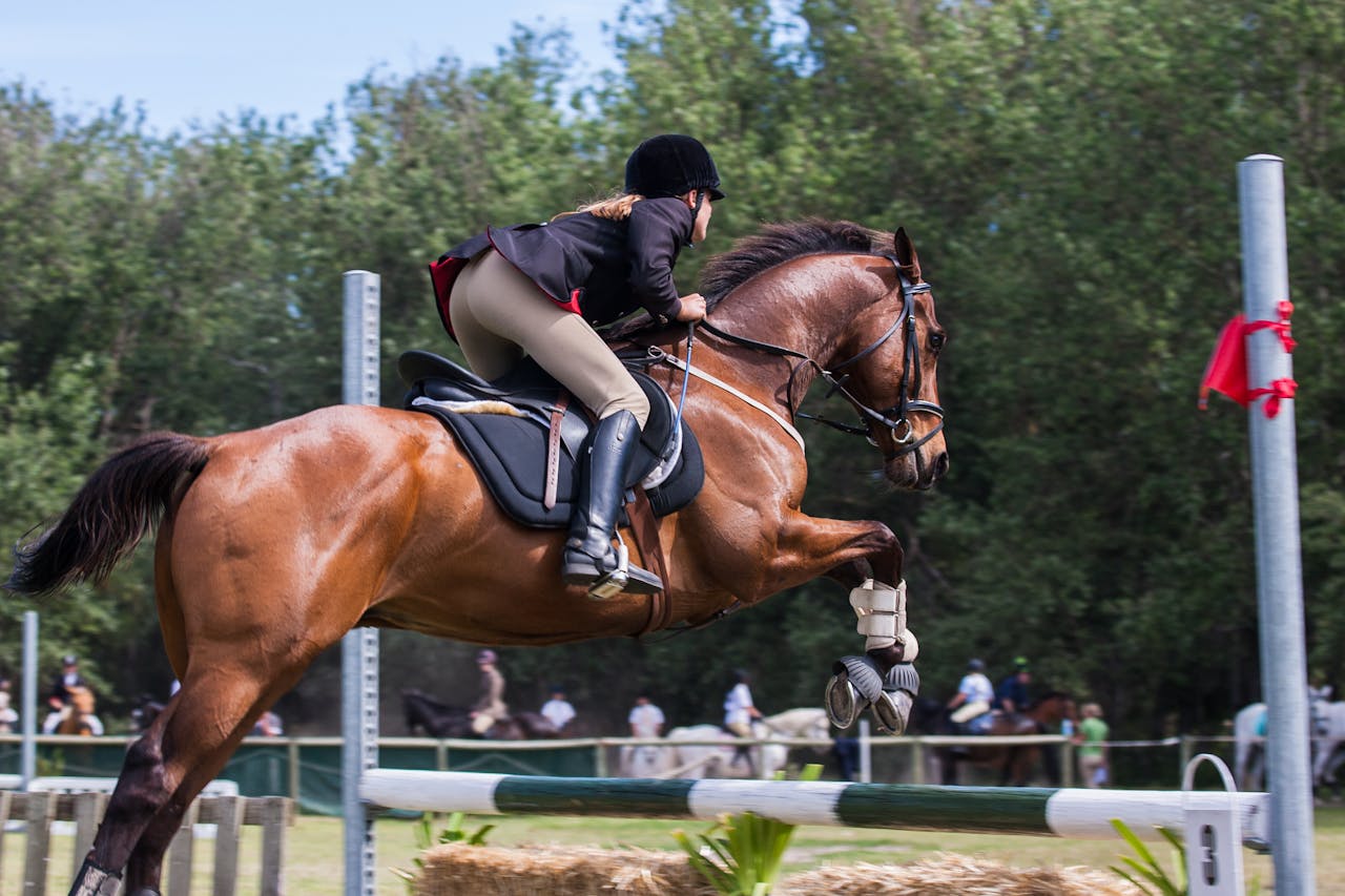 A woman jockey skillfully jumps with her horse in an outdoor equestrian competition.